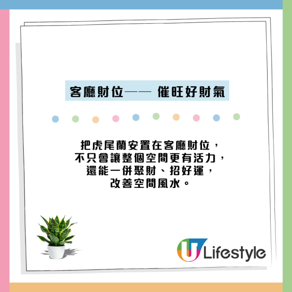 虎尾蘭放錯位置反吸走好運氣？揭全能空氣淨化功效 擺對5大風水財位易催旺！