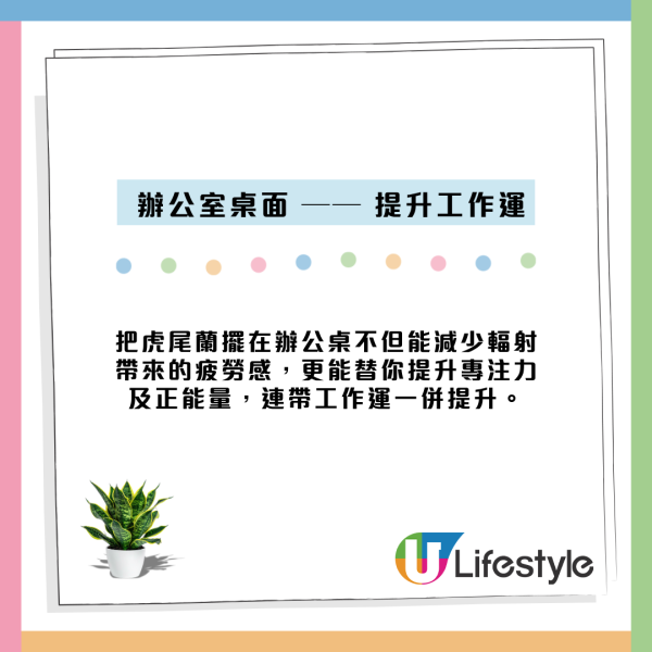虎尾蘭放錯位置反吸走好運氣？揭全能空氣淨化功效 擺對5大風水財位易催旺！