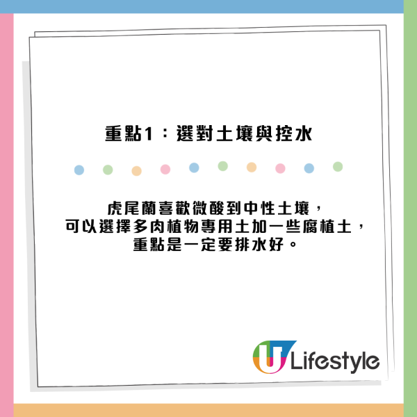 虎尾蘭放錯位置反吸走好運氣？揭全能空氣淨化功效 擺對5大風水財位易催旺！