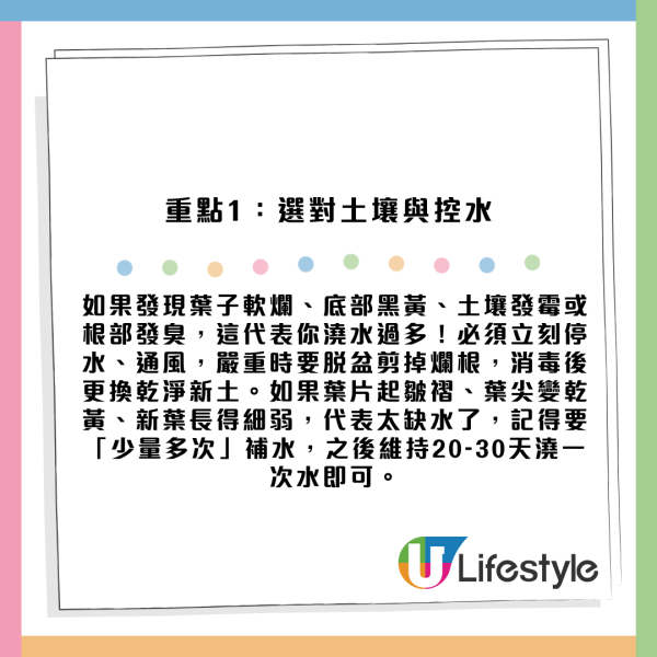 虎尾蘭放錯位置反吸走好運氣？揭全能空氣淨化功效 擺對5大風水財位易催旺！