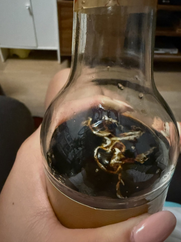 港女新開蒸魚豉油驚見蟲形異物？官方揭1步做錯即發霉　附保存關鍵3步曲
