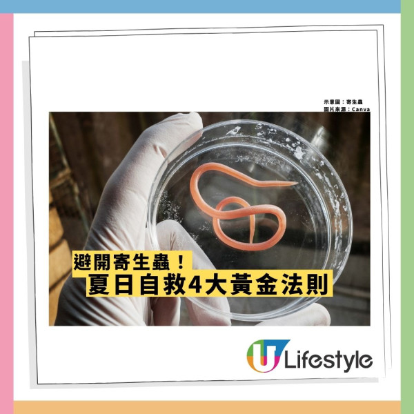 泳池恐藏寄生蟲！美爆千宗怪病 香港同類病例倍升 游水食沙律易中招9成需送院