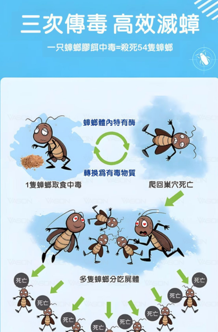 灭蟑必备凝胶！网友力荐1只中招引发连环中毒 超50同伴遭瓦解巢穴