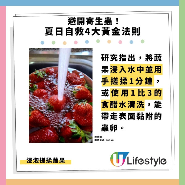 泳池恐藏寄生蟲！美爆千宗怪病 香港同類病例倍升 游水食沙律易中招9成需送院