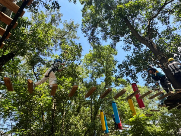 圖片來源:小紅書@爱旅游的黎黎~ 深圳福田新開叢林探險樂園近地鐵!「戶外叢林探險 + 室內自然美育」雙重玩法 附地址交通