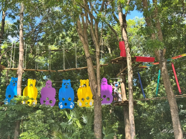 圖片來源:小紅書@爱旅游的黎黎~ 深圳福田新開叢林探險樂園近地鐵!「戶外叢林探險 + 室內自然美育」雙重玩法 附地址交通