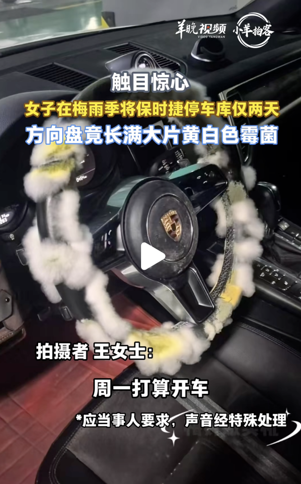 梅雨天潮濕陷阱 保時捷2日唔郁軚盤發晒毛變Labubu 車主反手擺放1物自救