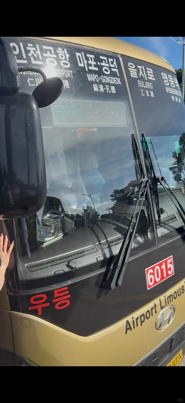 韓國機場巴士司機高速公路暈倒 中國女遊客合力煞車施救化解危機！ 