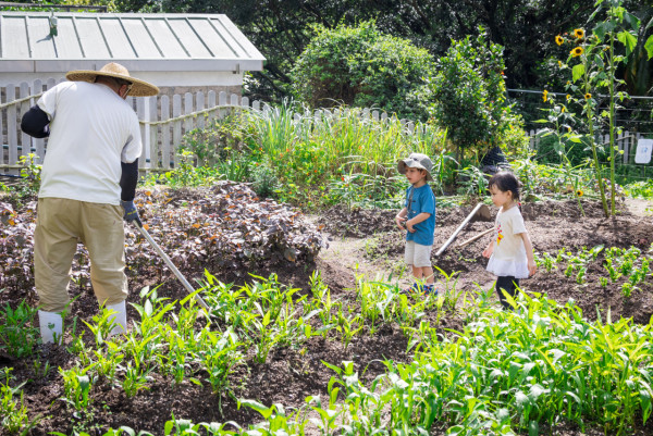 嘉道理農場免費入園限時兩個月！搶飛必睇超簡單4步網上登記 附惡劣天氣安排