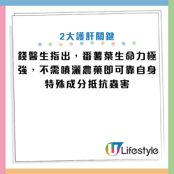 圖片資料來源：YouTube@祝你健康