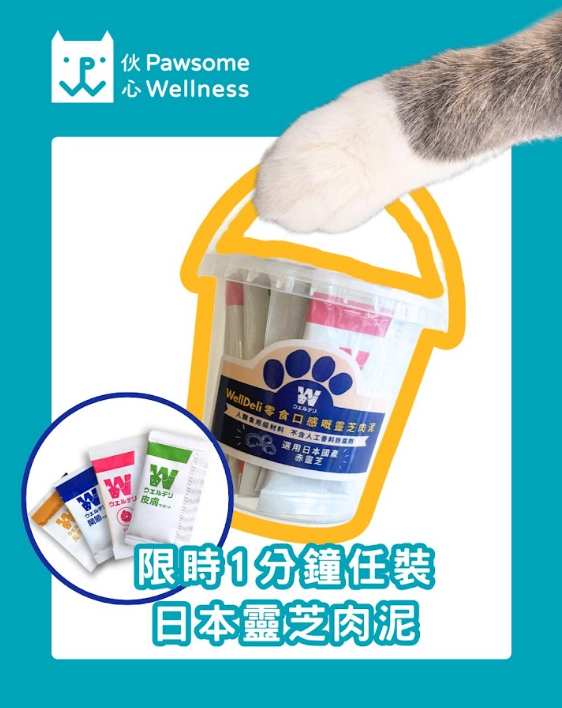 香港貓迷博覽會2026（相片由相關機構提供）