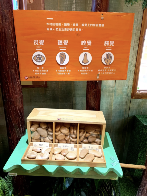 圖片來源:小紅書@爱分享的溜溜妈咪 深圳低碳環保樂園「木育森林」親子遊必去 2小時無限放電、必玩刺激空中滑索