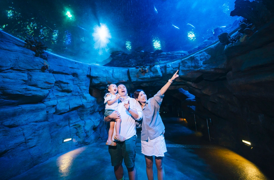 海洋公園水族館$600露營過夜！港媽激讚隱藏體驗與魚同眠 附報名詳情