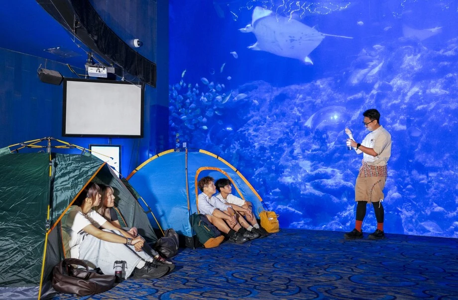 海洋公園水族館$600露營過夜！港媽激讚隱藏體驗與魚同眠 附報名詳情