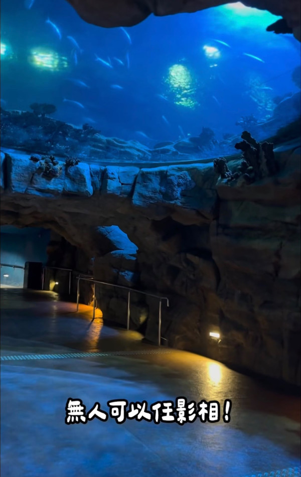 海洋公園水族館$600露營過夜！港媽激讚隱藏體驗與魚同眠 附報名詳情