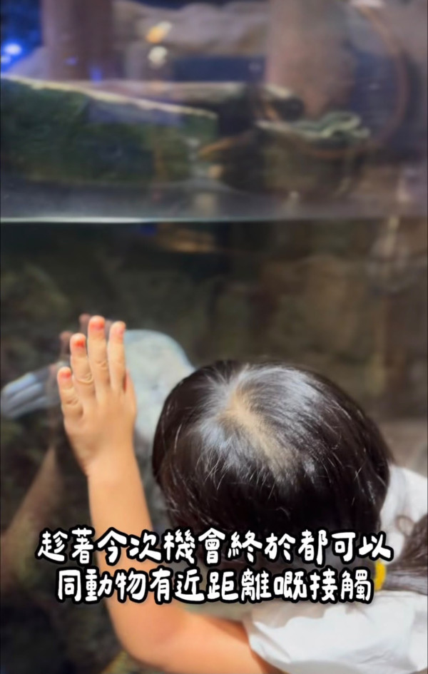 海洋公園水族館$600露營過夜！港媽激讚隱藏體驗與魚同眠 附報名詳情