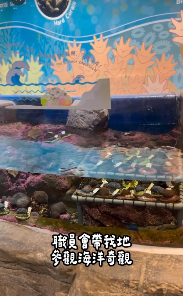 海洋公園水族館$600露營過夜！港媽激讚隱藏體驗與魚同眠 附報名詳情
