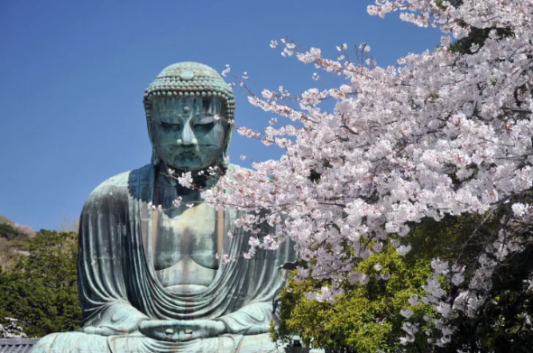 日本國家旅遊局 日本國家旅遊局