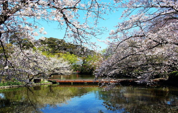 日本國家旅遊局 日本國家旅遊局