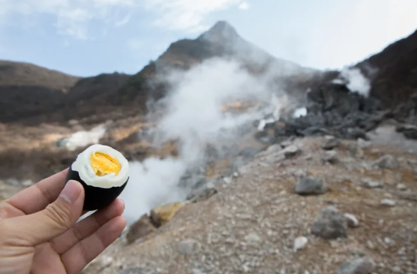 日本國家旅遊局 日本國家旅遊局