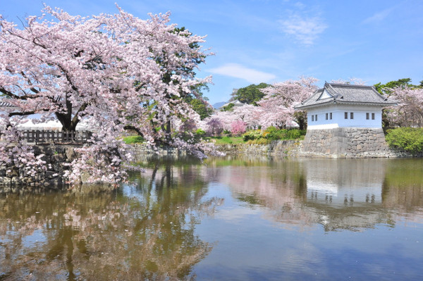 odawaracastle odawaracastle