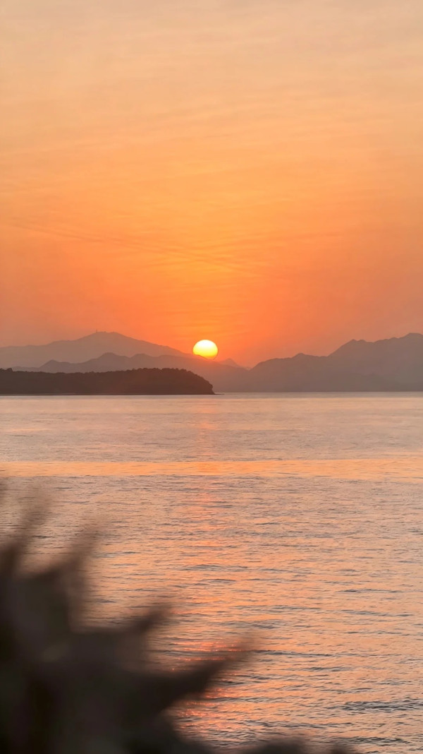 圖片來源:小紅書@Shore Coffee 汐岸日落咖啡馆 深圳大鵬新開海邊日落Cafe!無敵原木大窗、坐擁「橘子海」美景 附地址交通
