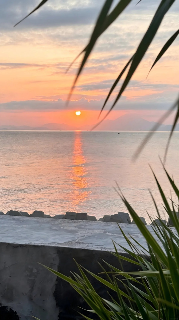 圖片來源:小紅書@Shore Coffee 汐岸日落咖啡馆 深圳大鵬新開海邊日落Cafe!無敵原木大窗、坐擁「橘子海」美景 附地址交通