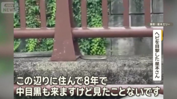 圖片來源：ANN NEWS