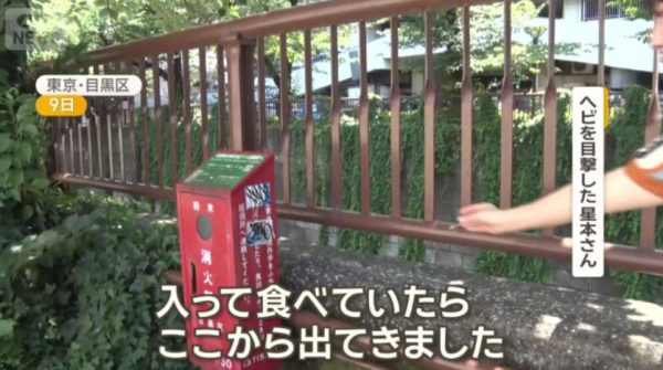 圖片來源：ANN NEWS