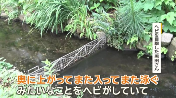 圖片來源：ANN NEWS