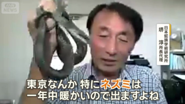 圖片來源：ANN NEWS