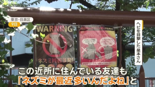 圖片來源：ANN NEWS