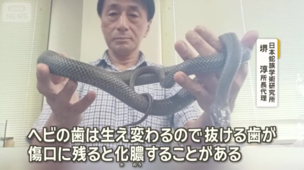 圖片來源：ANN NEWS