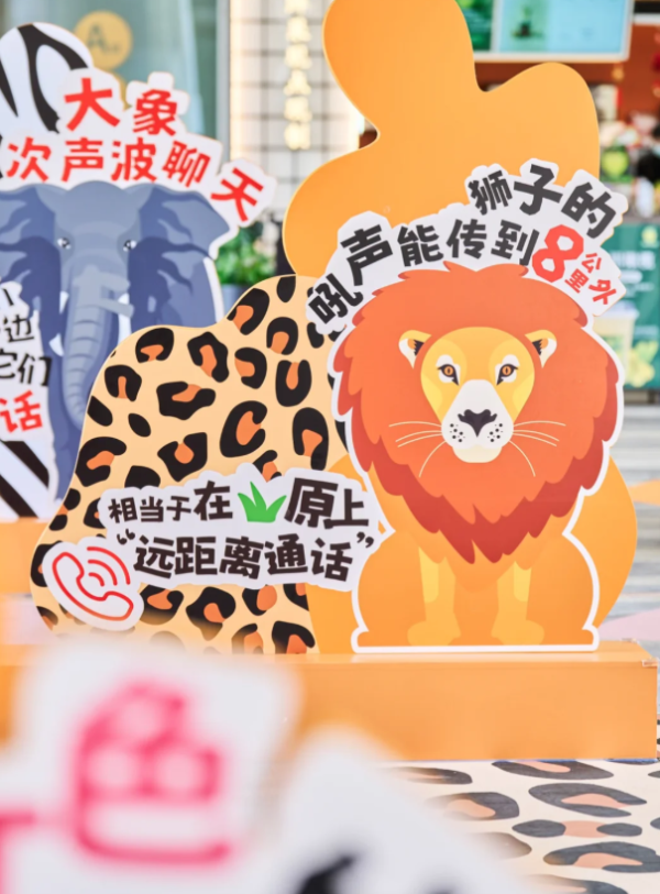 照片來源:小紅書@椰椰冻奶 照片來源:小紅書@椰椰冻奶
