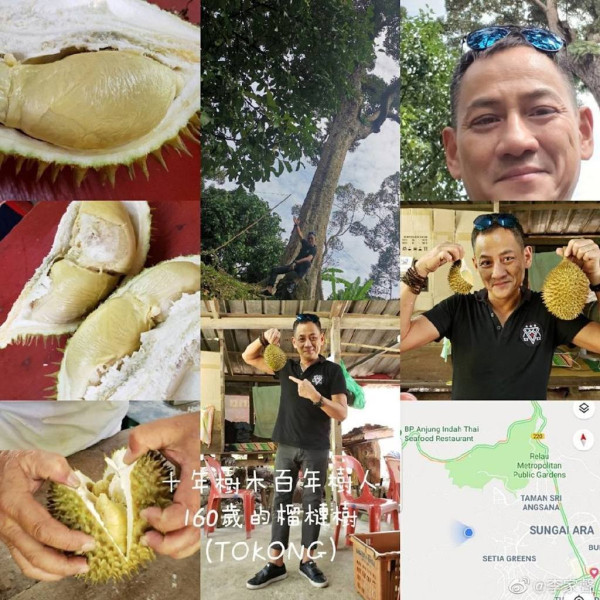 TVB金牌綠葉退圈8年最新近況曝光!移居檳城150萬置業住千呎大屋