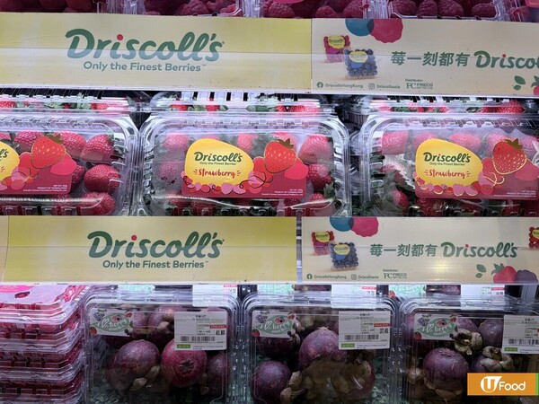 全球最大莓果品牌Driscoll's捲入「毒士多啤梨」風波！驗出12種農藥含致癌「永久化學物」