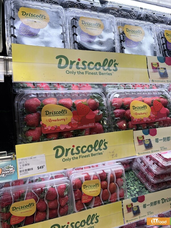 全球最大莓果品牌Driscoll's捲入「毒士多啤梨」風波！驗出12種農藥含致癌「永久化學物」