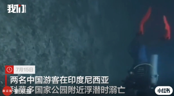 照片來源:小紅書@新京报 照片來源:小紅書@新京报