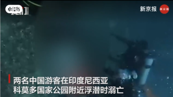照片來源:小紅書@新京报 照片來源:小紅書@新京报