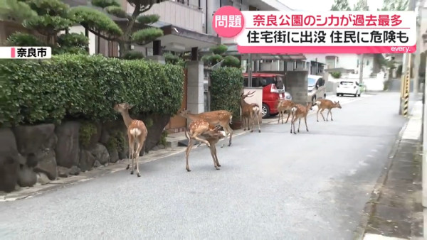 圖片來源:日テレNEWS NNN 圖片來源:日テレNEWS NNN