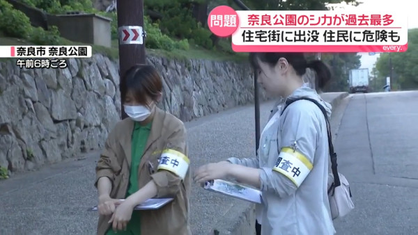 圖片來源:日テレNEWS NNN 圖片來源:日テレNEWS NNN