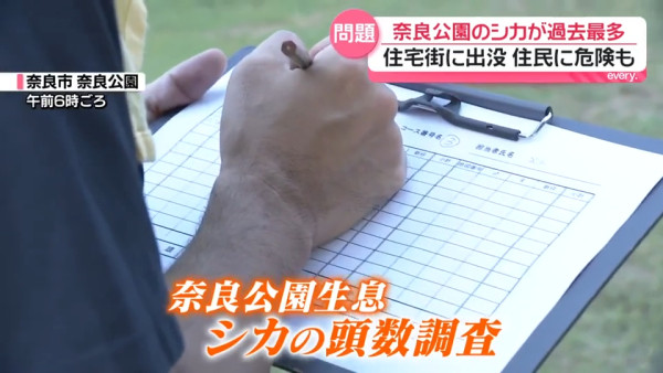 圖片來源:日テレNEWS NNN 圖片來源:日テレNEWS NNN