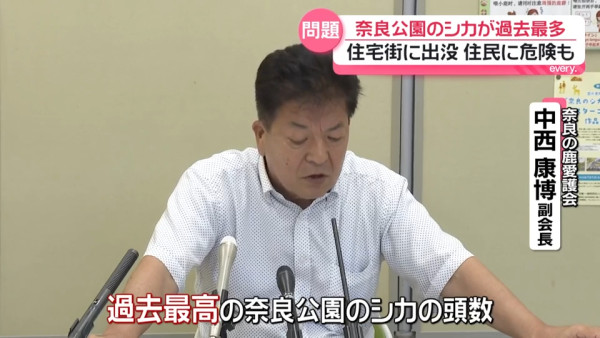 圖片來源:日テレNEWS NNN 圖片來源:日テレNEWS NNN