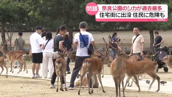 圖片來源:日テレNEWS NNN 圖片來源:日テレNEWS NNN