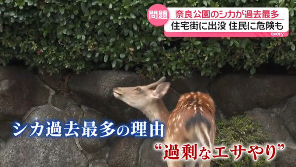 圖片來源:日テレNEWS NNN 圖片來源:日テレNEWS NNN