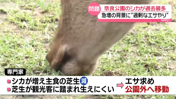 圖片來源:日テレNEWS NNN 圖片來源:日テレNEWS NNN