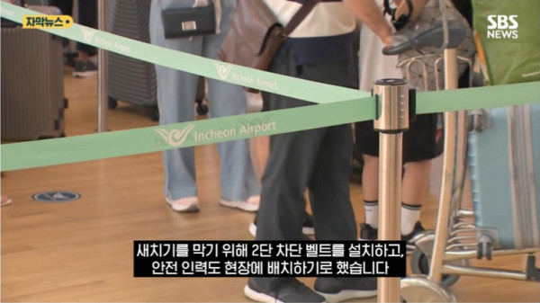 圖片來源:SBS NEWS 圖片來源:SBS NEWS