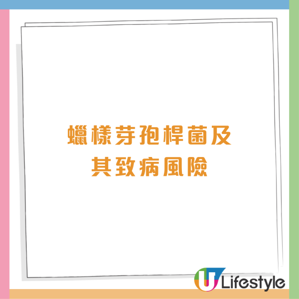 食安中心指銅鑼灣人氣餅店鐵觀音巴斯克芝士蛋糕「超標近2倍」驗出蠟樣芽孢桿菌+恐致嘔吐腹瀉