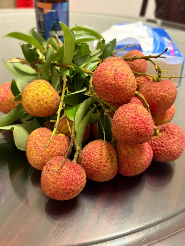 荔枝品種｜夏日必食13款荔枝品種大盤點！ 一文睇清桂味/妃子笑/無核荔枝特色 附4大揀選貼士及食用禁忌