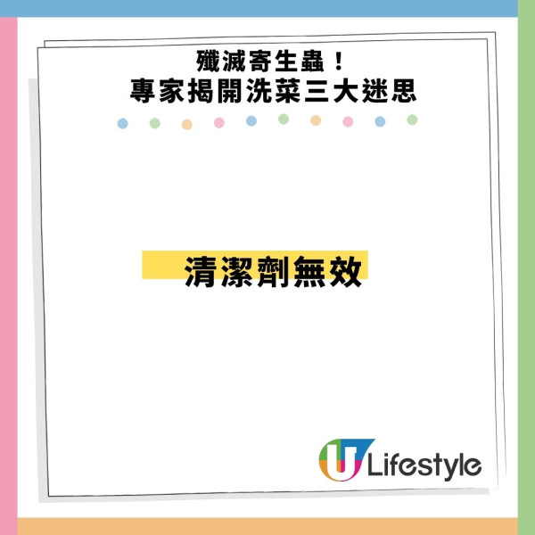 寄生蟲爆發!快餐生菜惹禍近7000人中招 專家:包裝沙律菜感染風險更高